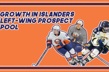 Islanders LW prospect pool growth rate