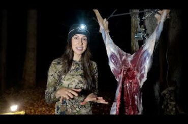 How to Butcher a Deer * STEP BY STEP *