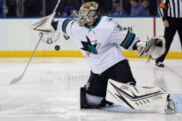 Toronto Maple Leafs sign Aaron Dell to a 1 year 800k contract