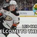 Leo Carlsson | Welcome To The NHL | The First 10 Games