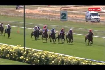 Renouf runs 5th to Miss Catherine