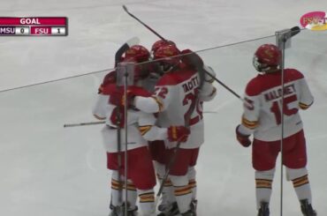 Ferris State vs  Minnesota State Highlights 12 9 16