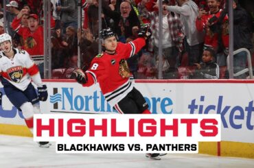 HIGHLIGHTS: Chicago vs. Florida