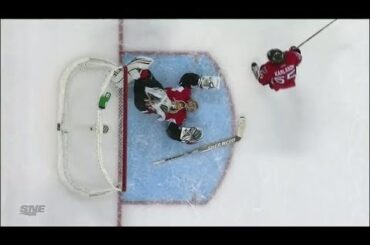 Craig Anderson sustains injury