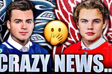 AWESOME CANUCKS NEWS, DISRESPECTFUL TO RED WINGS? PROSPECTS: Hunter Brzustewicz—Axel Sandin Pellikka