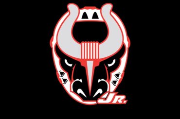 12-01-23 12U A1 Jr Bulls vs NYHL All-Stars