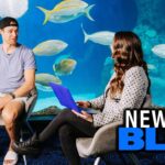 New In Blue | Jonas Johansson