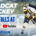River Falls Wildcats Varsity Hockey at Amery Warriors - 2 PM