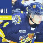 Jamie Drysdale highlights 2020 NHL draft