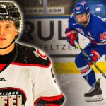 Gabe Perreault Highlights (2023 Draft Pick)