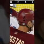 Nick Bjugstad OT Goal vs Avalanche | 11/30 2023