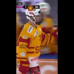 SCL Tigers- Sean Malone, without any hesitation 🐯💥 #nationalleague #icehockey #shorts