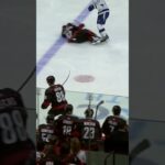 Tampa Bay Lightning Vs Carolina Hurricanes #estadosunidos #hockey #national