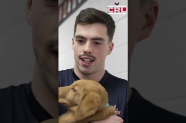 Hendrix Lapierre adopted Connor McMichael's foster puppy❤️#shorts #capitals #nhl