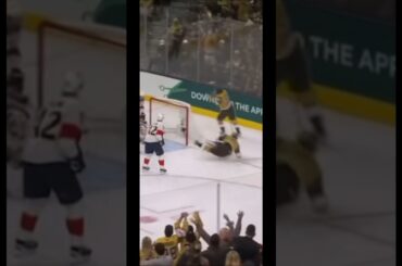 Brett Howden pulls off incredible deke, scores to make it 4-0