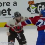 Jarred Tinordi vs Eric Gryba Apr 4, 2014