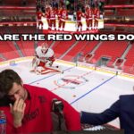 What is Holding Back the Detroit Red Wings?!?