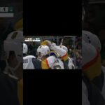 Павел Дорофеев 2 шайба сезона НХЛ 2023/24