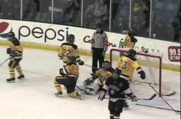 Wyandotte Roosevelt vs. Brother Rice - 2011 Division 2 Hockey Final Highlights