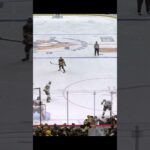 GOAL Noel Acciari Pittsburgh Penguins v Vegas Golden Knights 3-0 NHL 2023-24#shorts