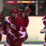 Highlights: Cornell Men's Ice Hockey at Princeton - 2/6/16