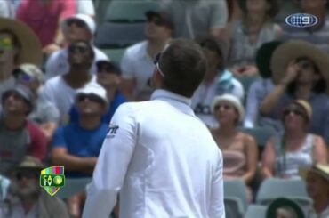 Swann's flight ruffles feathers