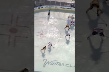 Sturm in OT 🐻 2010 Winter Classic