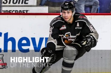 #WHLPlayoffs Highlight of the Night: April 19, 2019