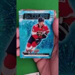 2023-24 Upper Deck Hockey Series 1 | Pack 2