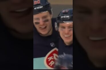 Heck Of An Effort By Yanni Gourde At The Winter Classic 🦑