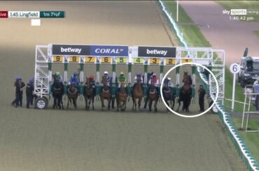 Top class from William Buick at Lingfield! 👏