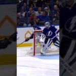 Josh Anderson hit on Erik Černák!