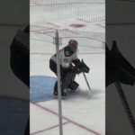 A new save selection?! Shown by #KarelVejmelka. #GoalieGearSnob #BriansGoalie