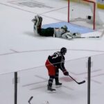 Fleury Is Crazy and I Love It