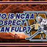 Who is Islanders target Aidan Fulp ?