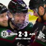 Arizona Coyotes vs Boston Bruins Game Recap - Energy is Unmatched