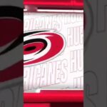 Amazing glove save by Antti Raanta🤯 | #hockey #canada #connorbedard #nhl #hockeyshorts