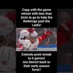 Andrew Copp scores a late game winner to help Detroit Redwings past Toronto! #icehockeyaussies #nhl