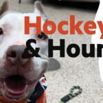 Meet Haworth: Hockey & Hounds with John Tortorella