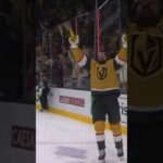 Alex Pietrangelo OT Goal vs Bruins | 1/11 2024