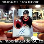 BREAK #4228 : 6 BOX 2021-22 #upperdeck THE CUP #Exquisite  NHL HOCKEY BOX CASE BREAK