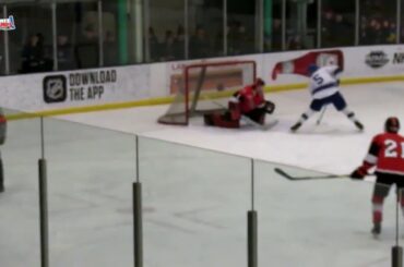 Tanner Rowe - Calumet | Boys Hockey | 1-18-20 | STATE CHAMPS! MI