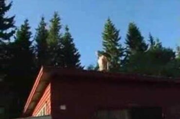 Robin Sandström. Arvidsjaur 2006