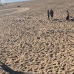 Friendly Fire! Paul & Nick vs Joe & Ray #2 12 10 23