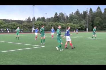 Manglerud vs VIF. 1.div damer