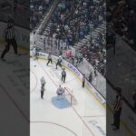 Brandon Tanev fights Jake McCabe #seakraken #hockey #Shorts #HockeyFights