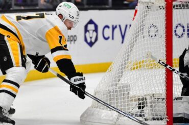 NHL: OT Goals Waved Off Part 2