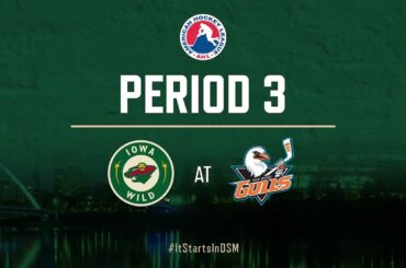 Iowa Wild (4) vs San Diego Gulls (7) | 01.27.2024