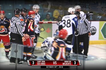 Complete Highlights Wildcats SeaDogs