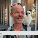 I can't believe the Jets got HIM